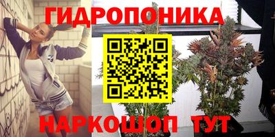прущий лед Канаш