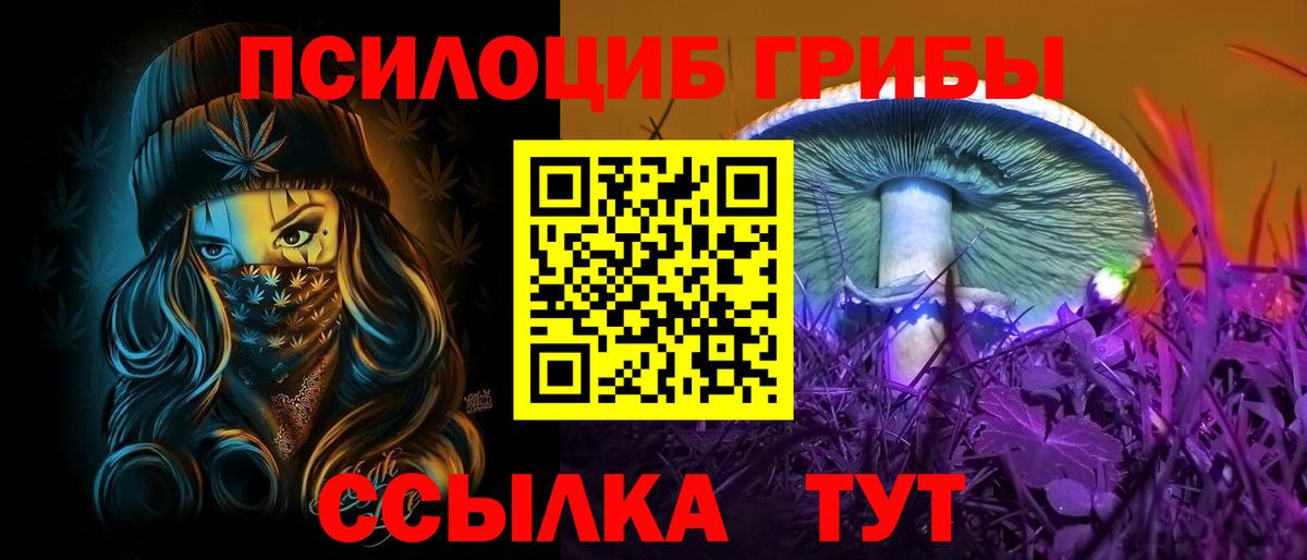 купить наркотики цена  Галлюциногенные грибы MAGIC MUSHROOMS  Вход с VPN  Бутурлиновка 